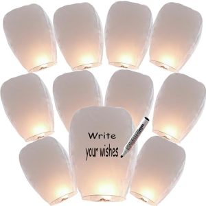 Paper Lanterns Have 16 Pack White, Paper Lanterns Easy to Use, were The Highlight of Party, Lanterns Use to Party Events